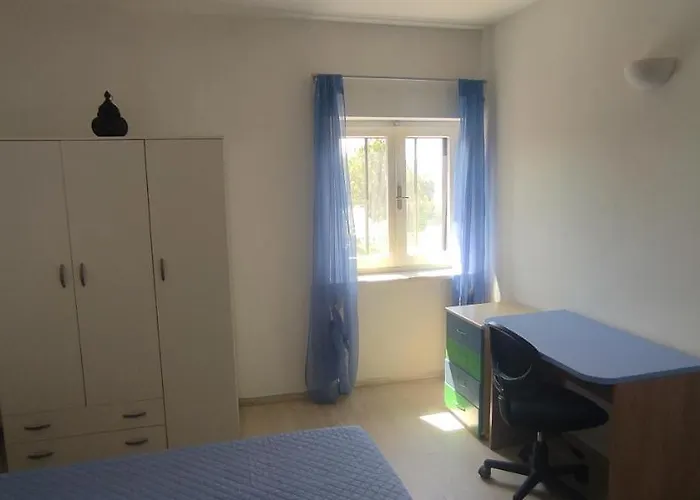 Mimose * Όλμπια